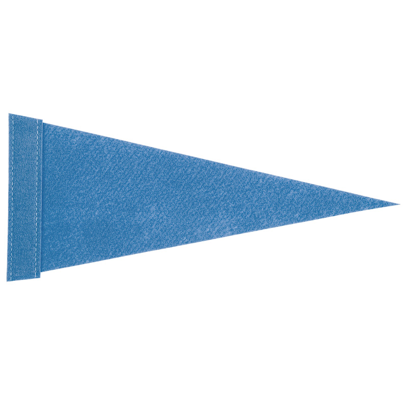 Felt Pennant (5" x 12")